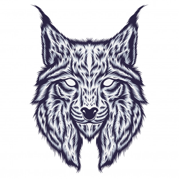 山猫插画