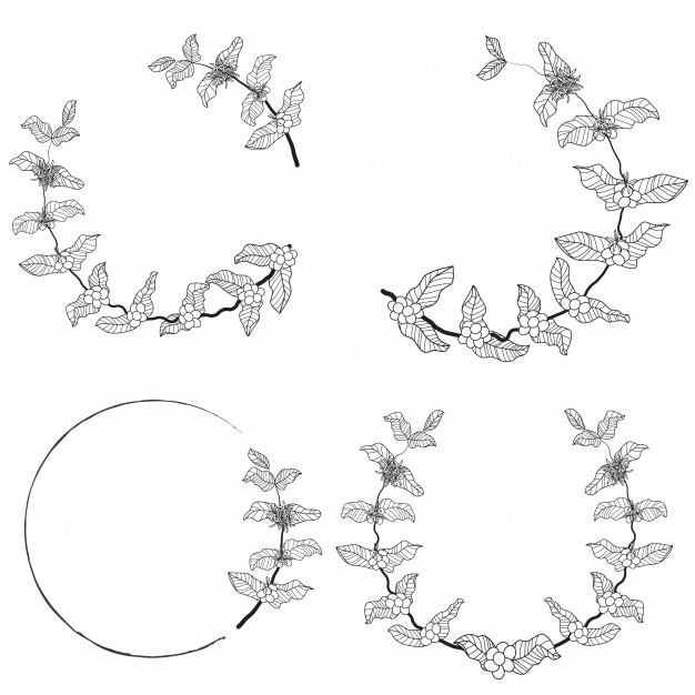 咖啡分支花环边框合集