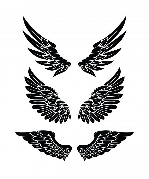 手绘展开的翅膀插画标志logo