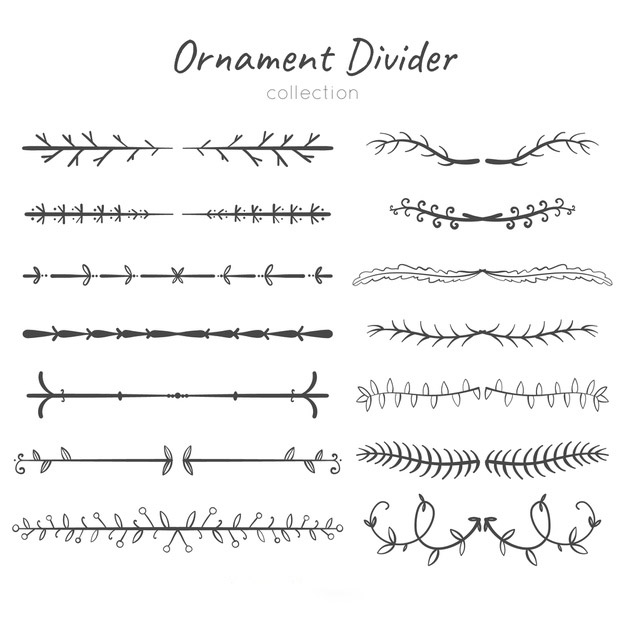 手绘枝叶花卉花朵装饰线条分割线