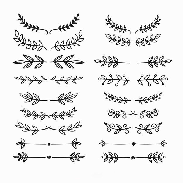 手绘手绘枝叶花卉花朵装饰线条分割线
