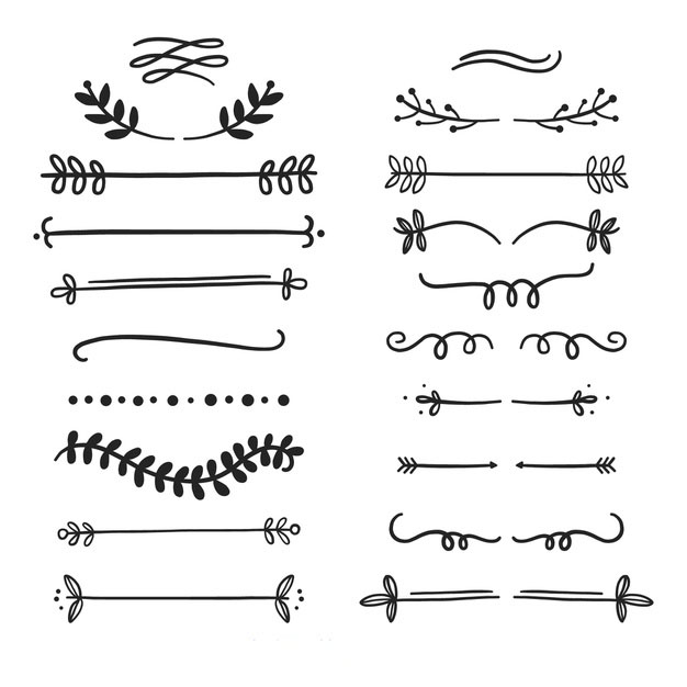 手绘枝叶花卉花朵文字装饰线条分割线元素