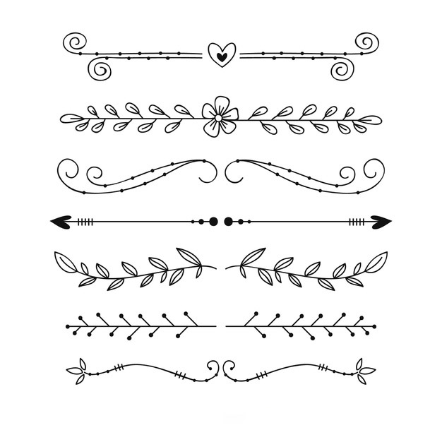 手绘枝叶花卉花朵文字装饰线条分割线元素