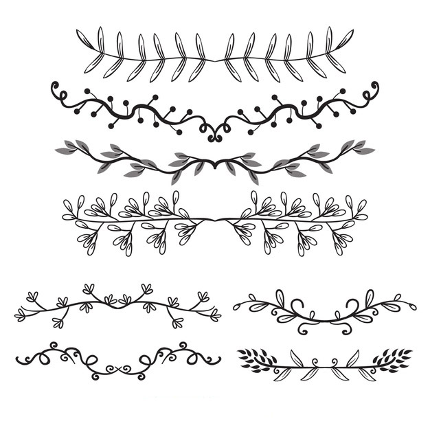 手绘手绘枝叶花卉花朵装饰线条分割线