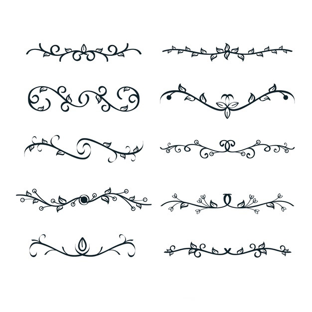 手绘枝叶花卉花朵文字装饰线条分割线元素