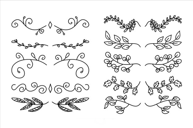手绘枝叶花卉花朵文字装饰线条分割线元素