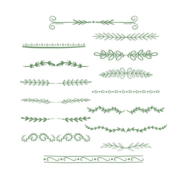 手绘枝叶花卉花朵文字装饰线条分割线元素