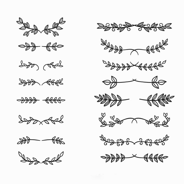 手绘枝叶花卉花朵文字装饰线条分割线元素
