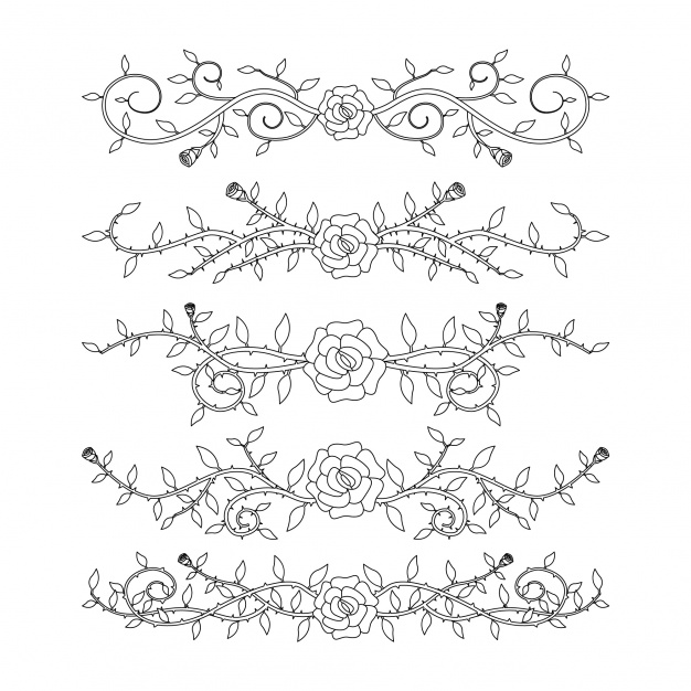 手绘枝叶花卉花朵文字装饰线条分割线元素