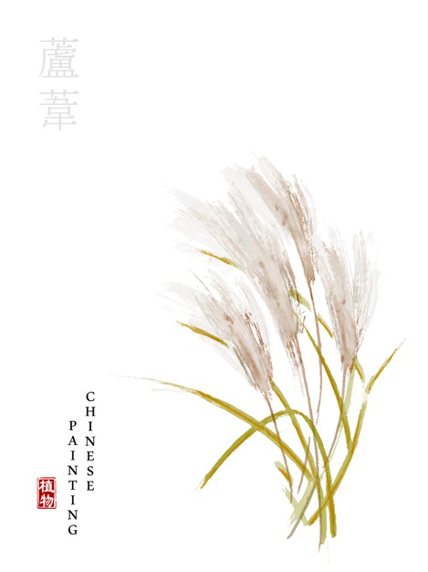 水彩中国风水墨画艺术植物插画芦苇