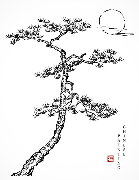 中国风白描松树线条线稿插画