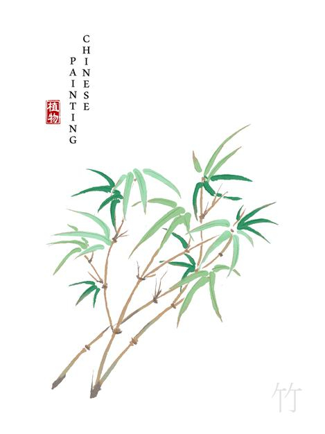 水彩中国风水墨画艺术植物插画竹子