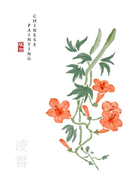 水彩中国风水墨画艺术植物插画凌霄