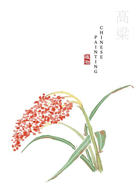 水彩中国风水墨画艺术植物插画高粱