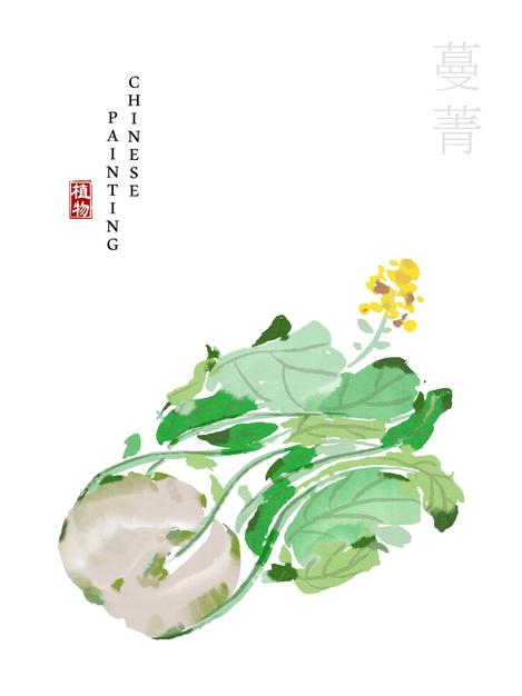 水彩中国风水墨画艺术植物插画蔓菁