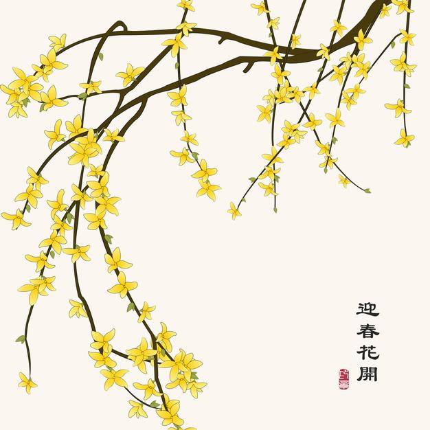 中国风水彩茉莉花插画