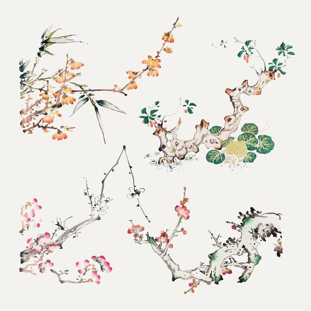 中式植物花朵插画国画