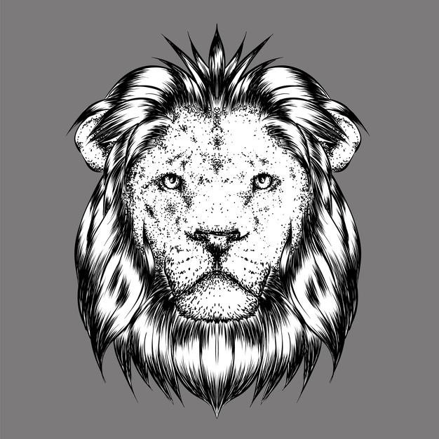 黑白狮子插画