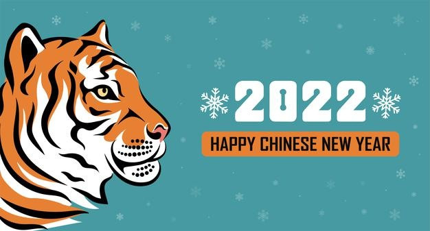 2022年新年虎年元旦老虎插画